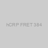 hCRP FRET 384
